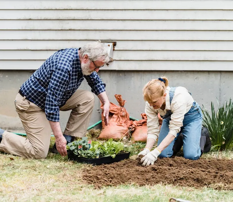 Casal de idosos planta mudas no jardim de casa